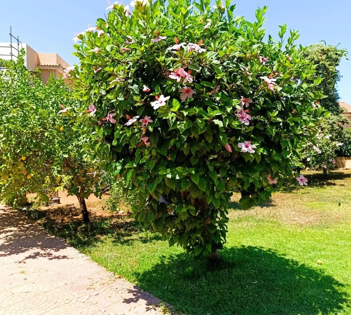 Garden House Mondello Palermo Villa